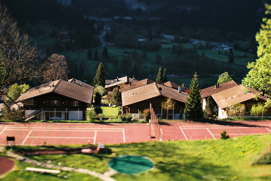 テラスからの眺め